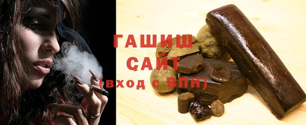 гашик Алексин
