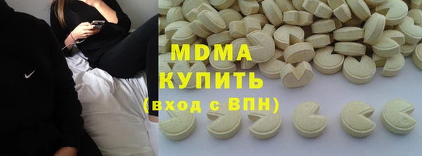 гашик Алексин