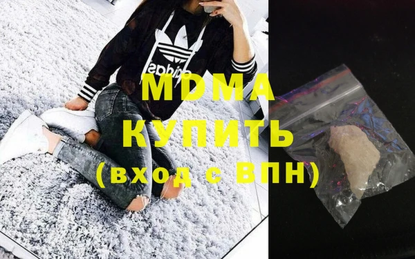гашик Алексин